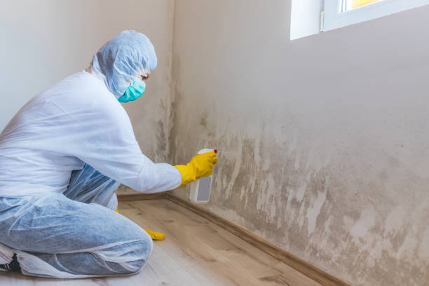 Commercial Mold Remediation assessment for commercial property in Fayetteville
