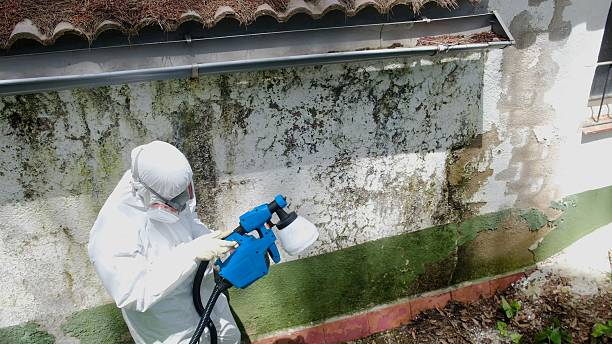 Mold Remediation service in Fayetteville, Fayetteville, GA